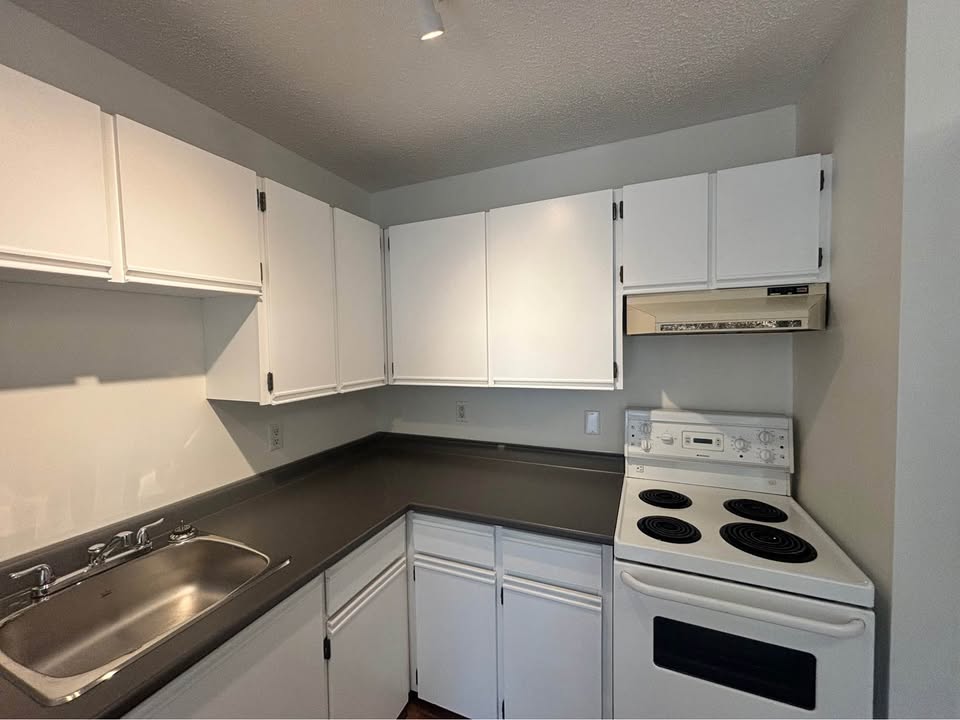 103 - 850 Rupert Terrace