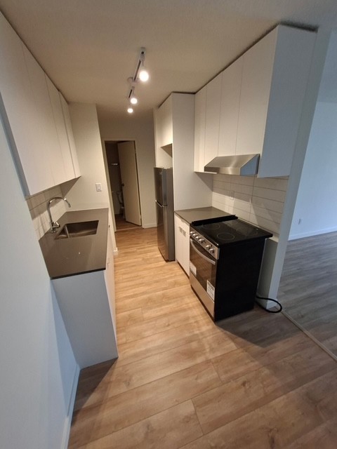 1320 King Albert Avenue-306